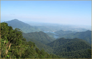 Bach Mac National Park